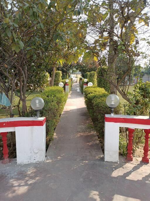 Achal Farm जंगल में मंगल Vila Gurgaon Exterior foto