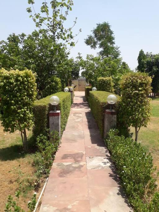Achal Farm जंगल में मंगल Vila Gurgaon Exterior foto
